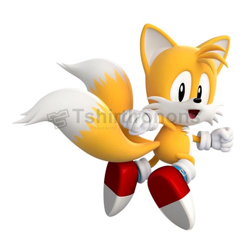 Sonic the Hedgehog T-shirts Iron On Transfers N7958